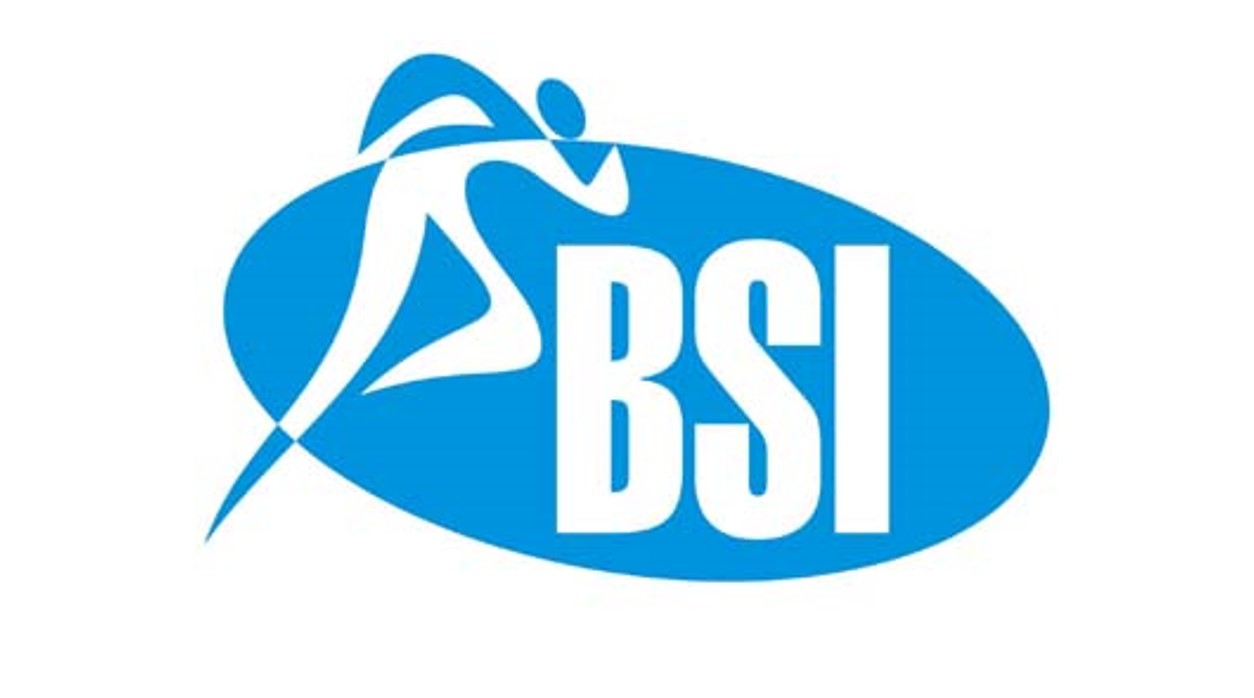BSI 3